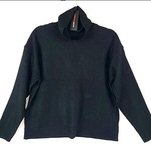 ʕ·ᴥ·ʔ NWT Ambiance Apparel Sweater Size Small